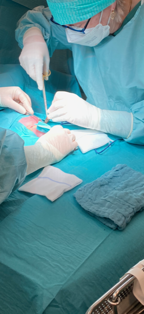 chirurg anne dams kindje aan het opereren